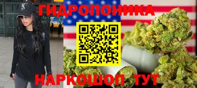 мяу мяу мука Нальчик