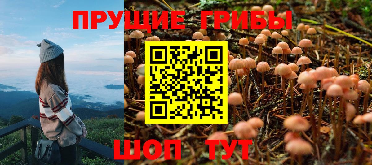 Галлюциногенные грибы Magic Shrooms  Вход с VPN  Нягань  Псилоцибиновые грибы Psilocybe 